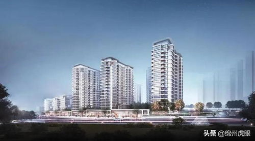 這座豪宅,在這個百強房企系統(tǒng)里,全國只有兩座,一座落址園藝山